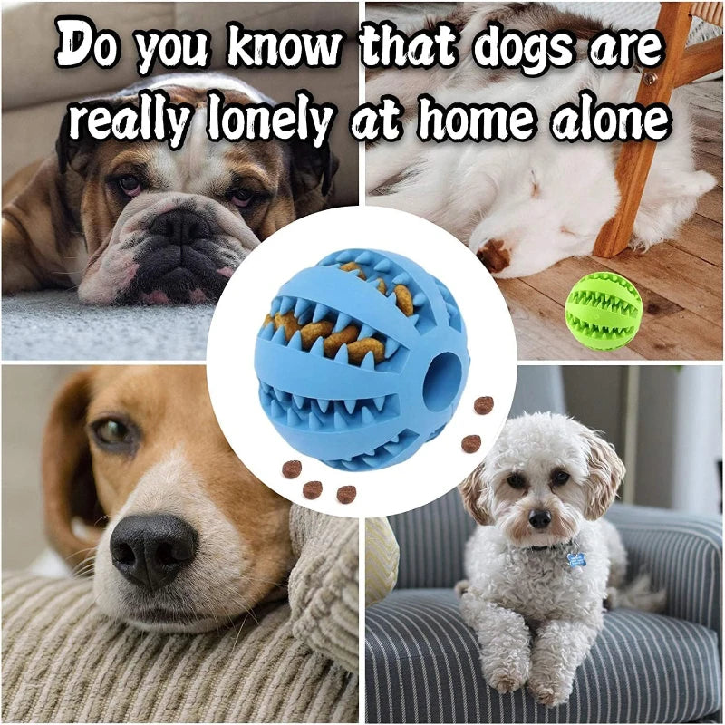 Balle Interactive pour Chien – Jouet à Mâcher et Distributeur de Friandises 🐶🦴