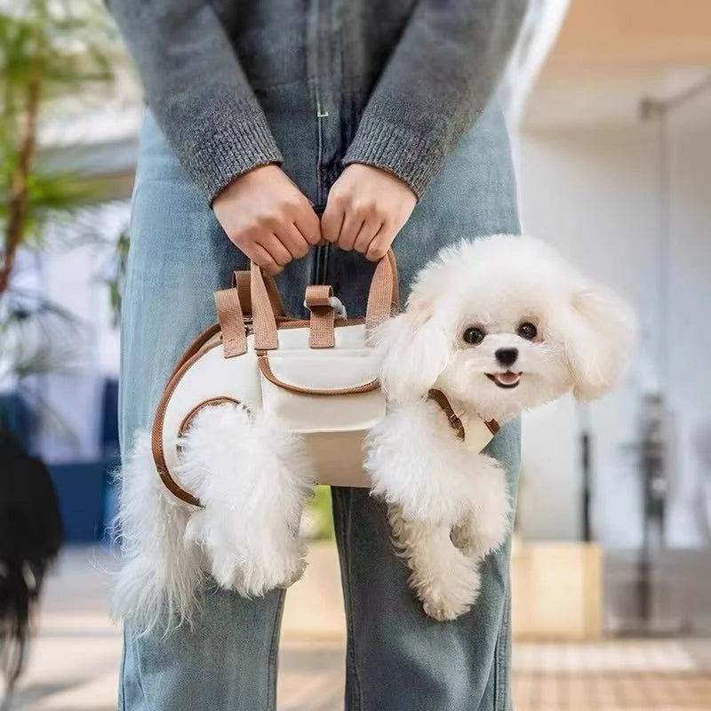 Small white dog in a white handbag held by a person outdoors