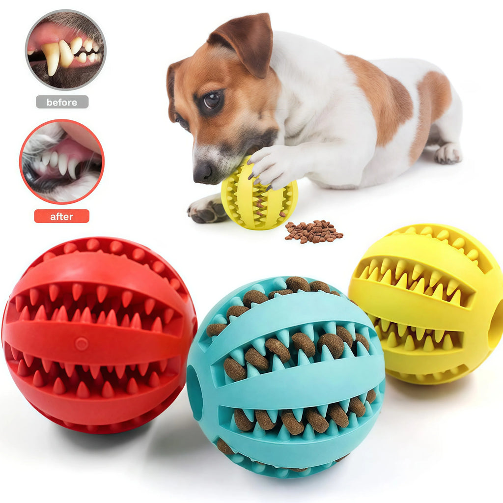 Balle Interactive pour Chien – Jouet à Mâcher et Distributeur de Friandises 🐶🦴