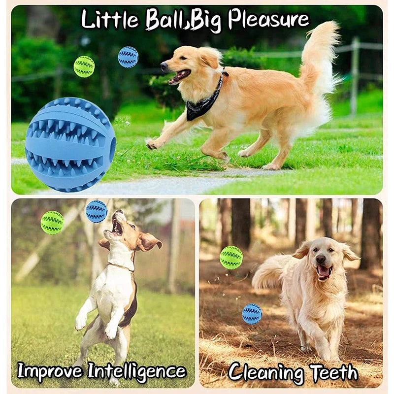 Balle Interactive pour Chien – Jouet à Mâcher et Distributeur de Friandises 🐶🦴