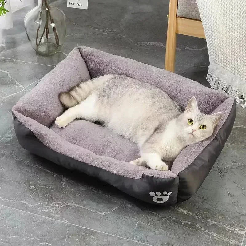 Cat lying on a gray pet bed in a home setting