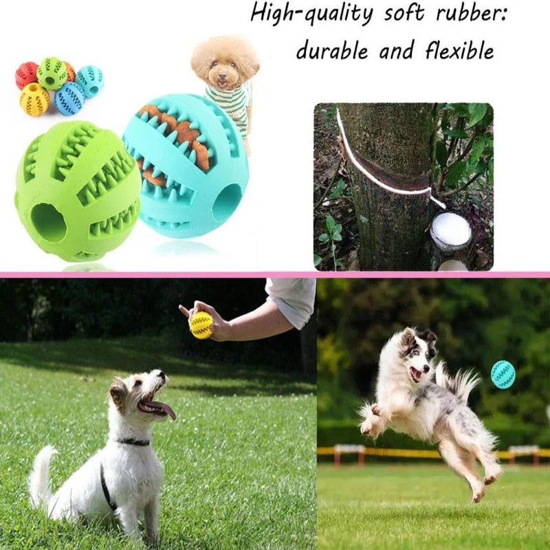 Balle Interactive pour Chien – Jouet à Mâcher et Distributeur de Friandises 🐶🦴
