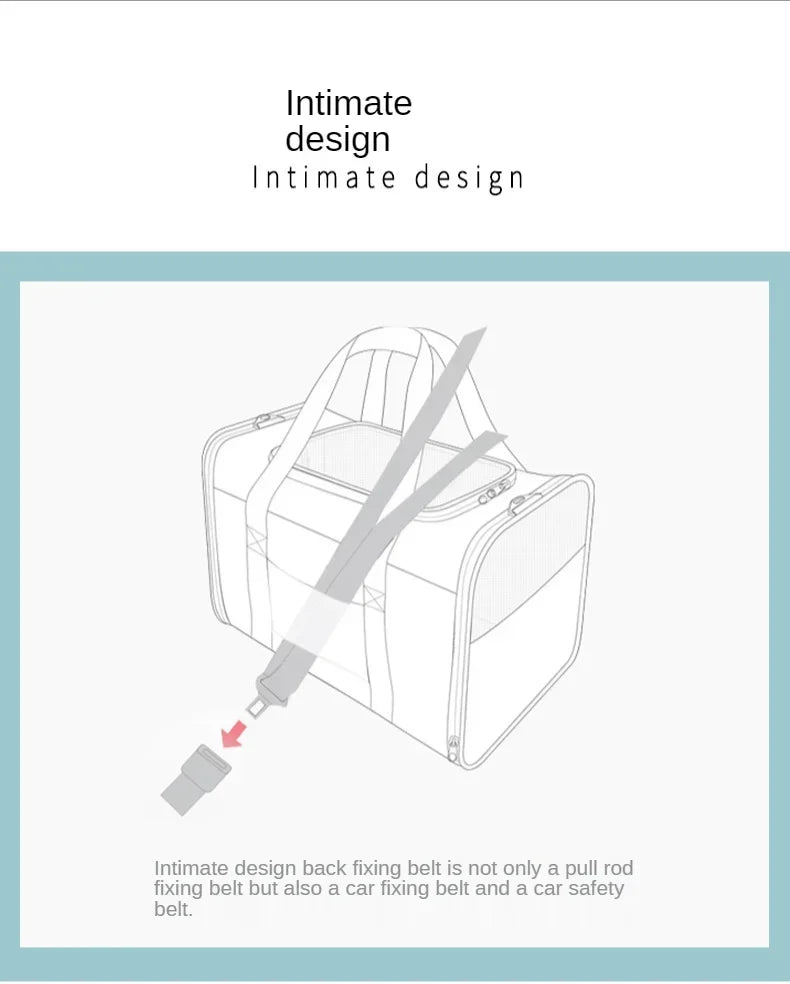 Illustration of a back fixing belt with text on a light blue background