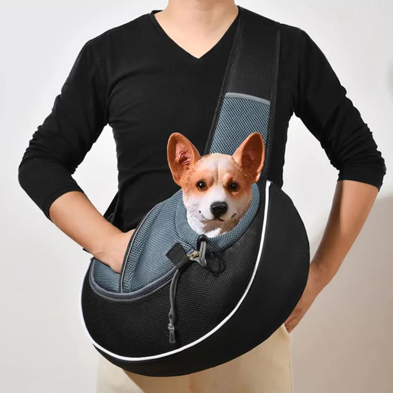 Person holding a small dog in a gray pet carrier against a white background