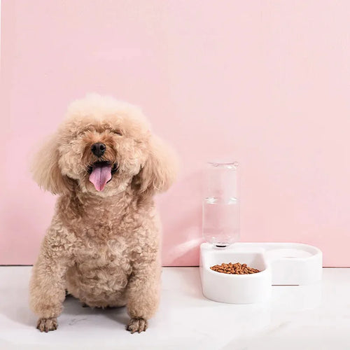 Dog sitting next to a bowl of food on a pink background