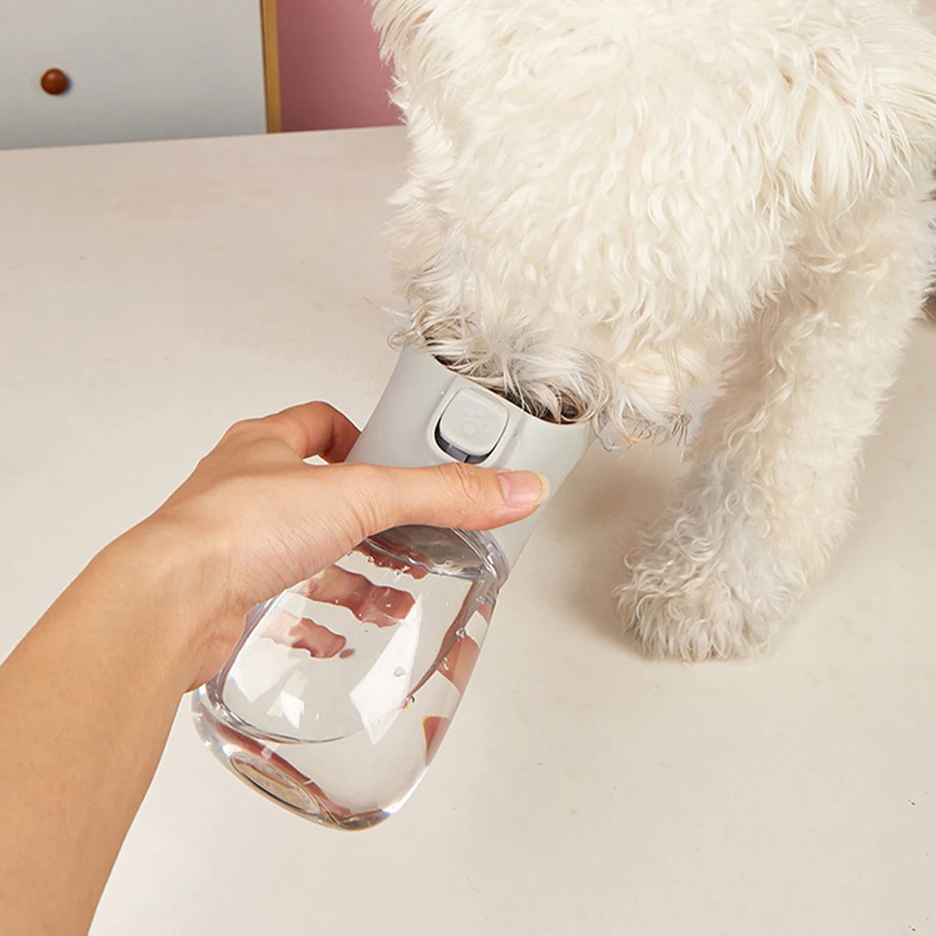 Bouteille d'Eau Portable pour Chien – Anti-Fuite et Idéale pour Voyage 🐾💧