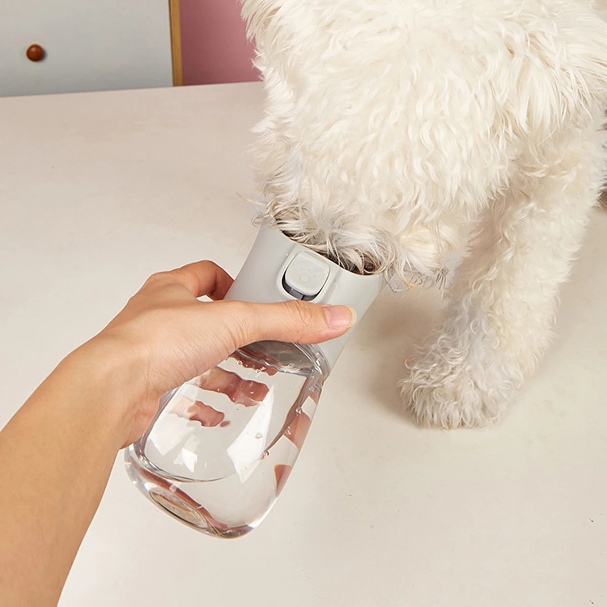 Bouteille d'Eau Portable pour Chien – Anti-Fuite et Idéale pour Voyage 🐾💧