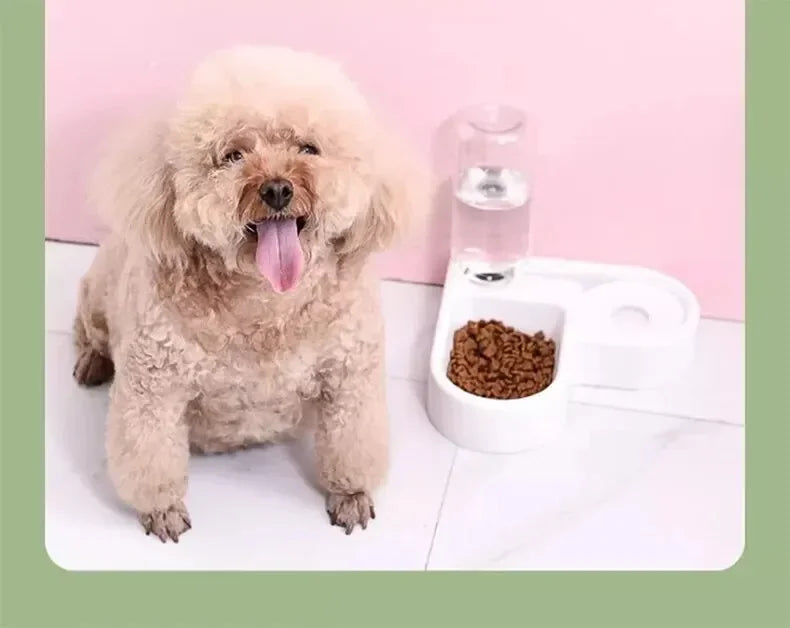 Bol Double pour Chien et Chat avec Distributeur Automatique d'Eau – Gamelle Anti-Basculement 2-en-1