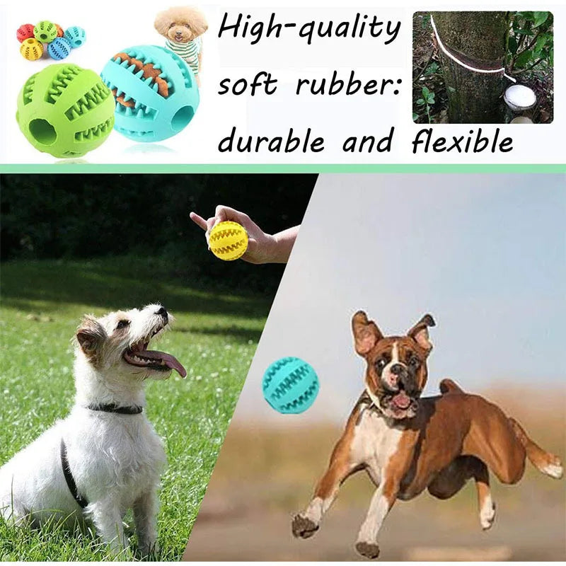 Balle Interactive pour Chien – Jouet à Mâcher et Distributeur de Friandises 🐶🦴