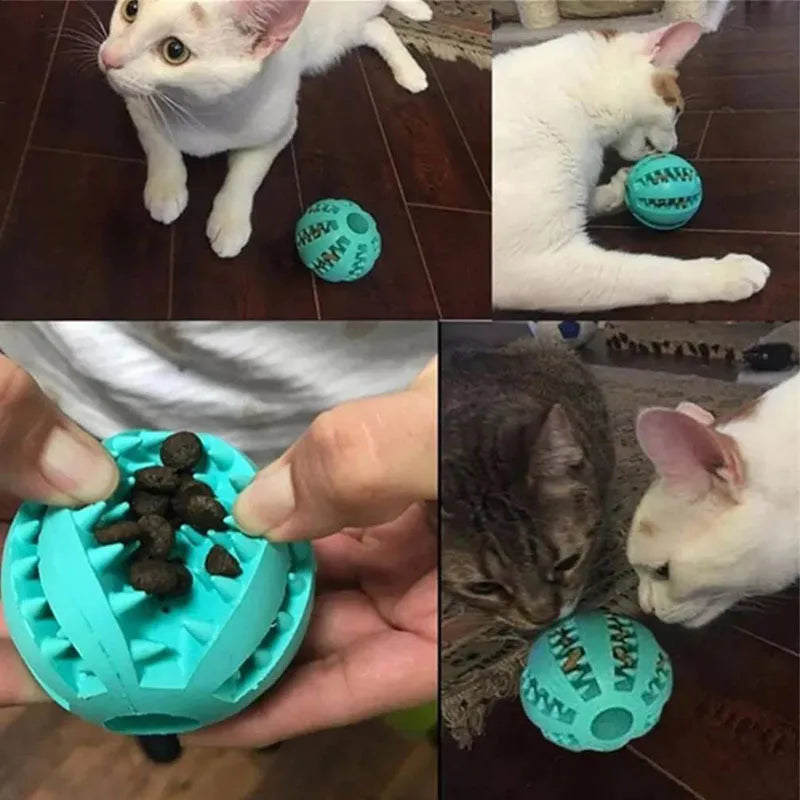 Balle Interactive pour Chien – Jouet à Mâcher et Distributeur de Friandises 🐶🦴